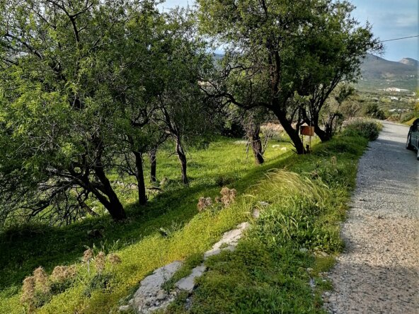 Plot outside Ierapetra of Crete