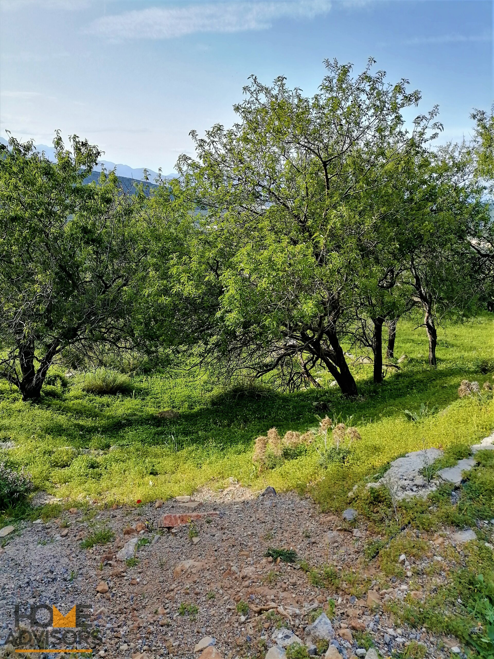 Plot outside Ierapetra of Crete