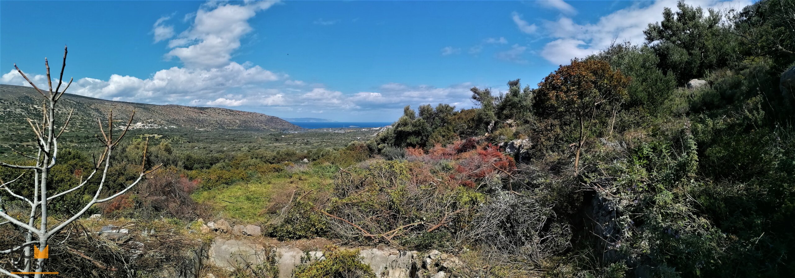 Plot outside Ierapetra of Crete