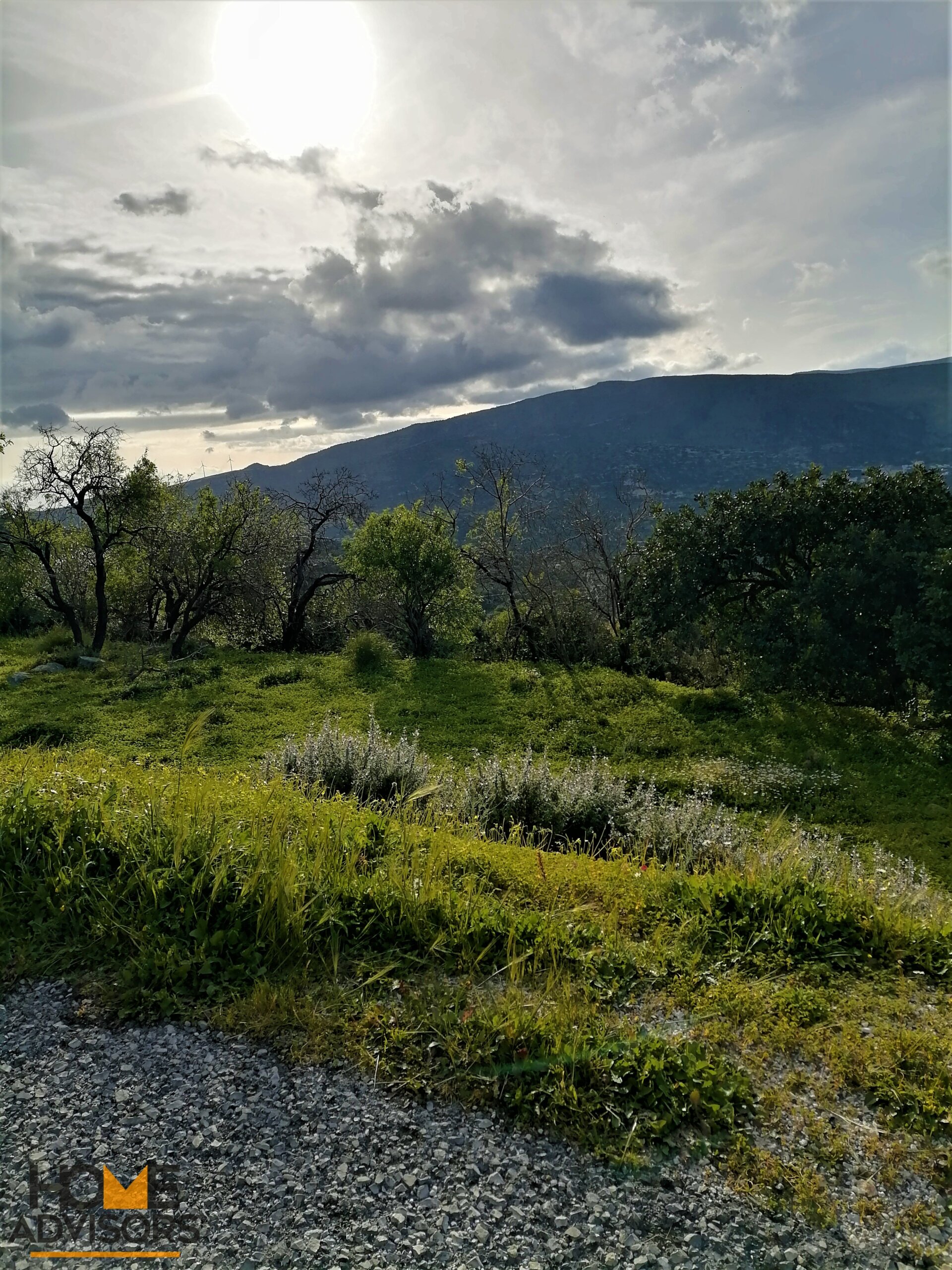 Plot outside Ierapetra of Crete