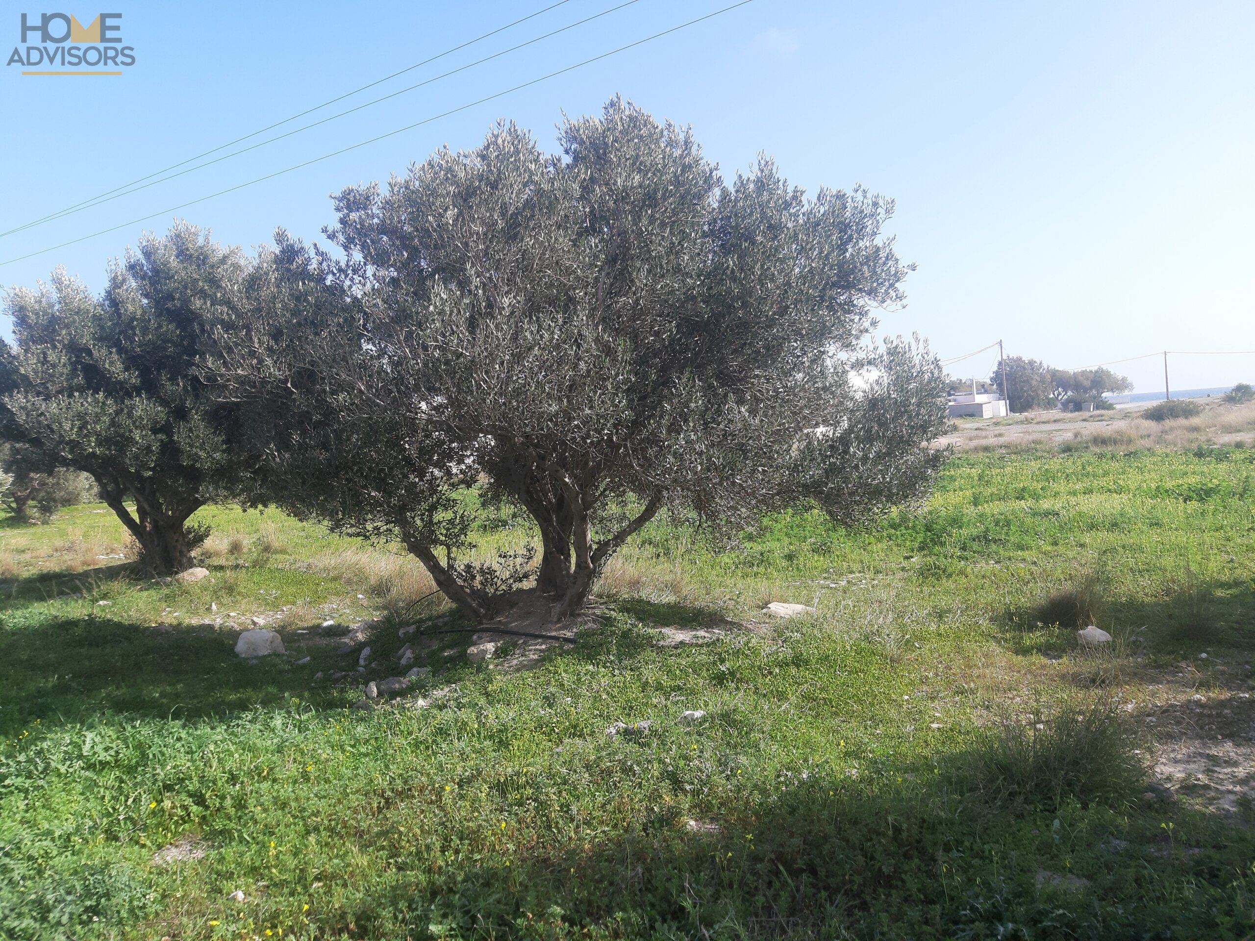 Plot outside Ierapetra Crete