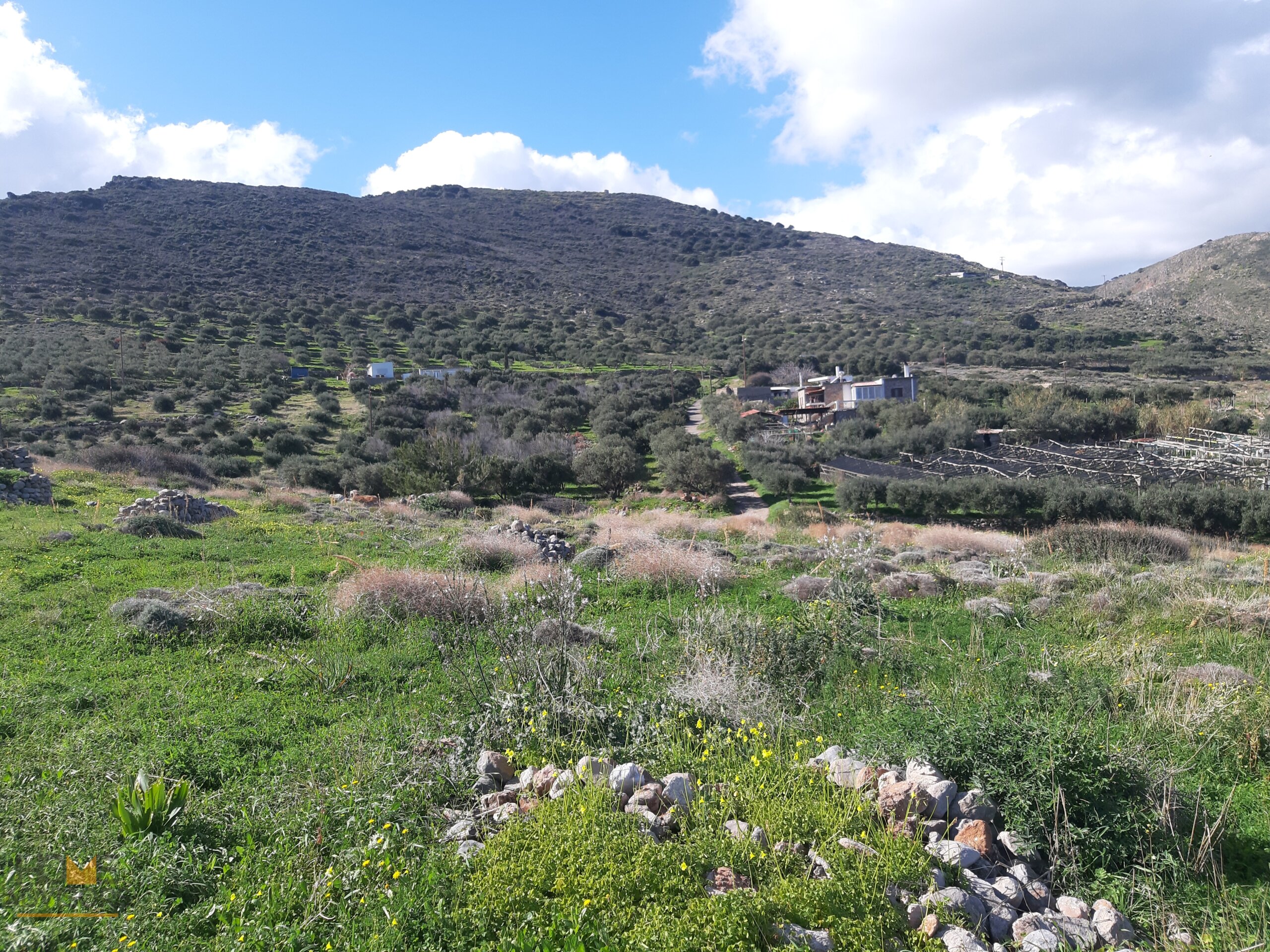 Plot 5.500 sqm out of Agios Nikolaos