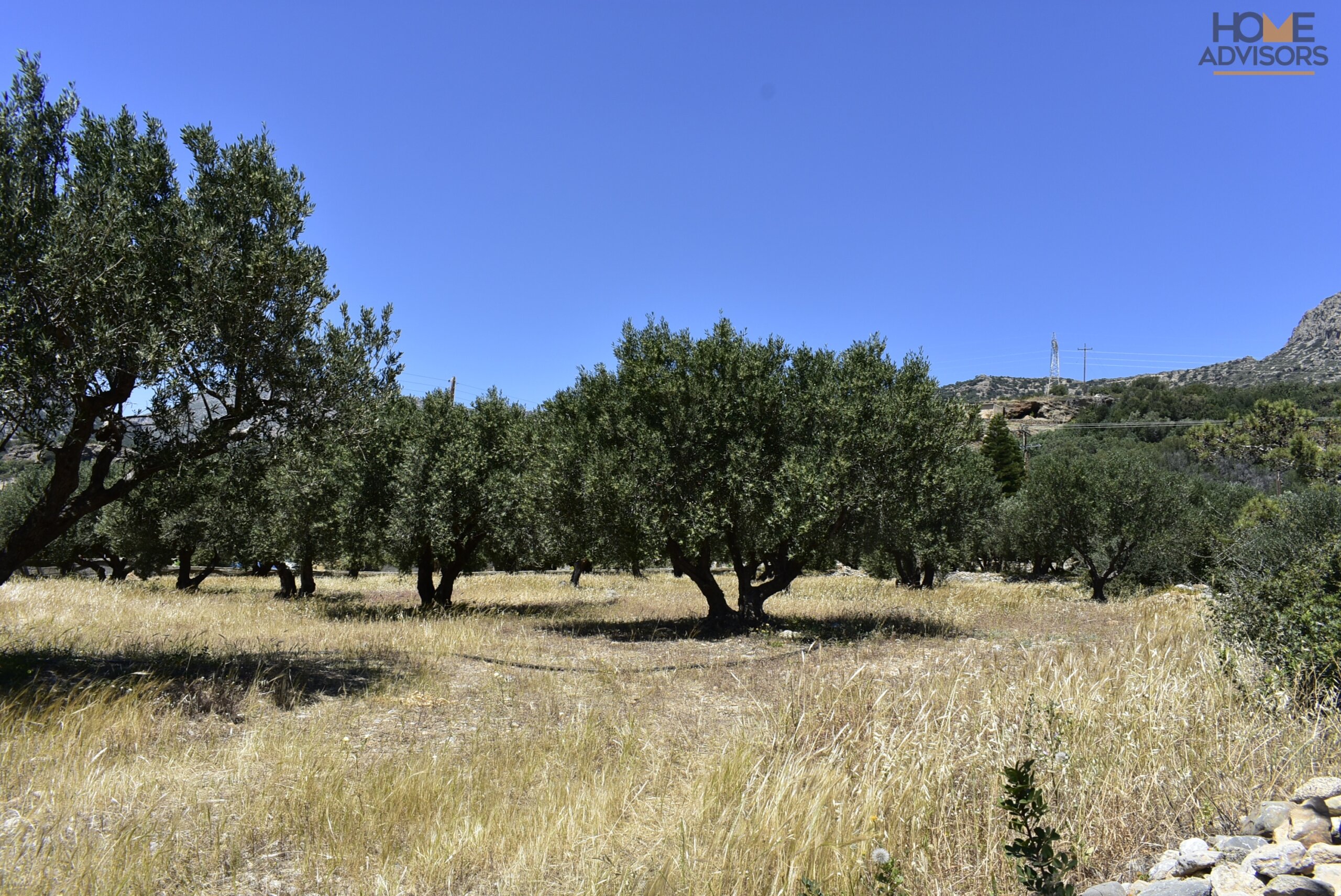 Seaview plot in Ferma of Crete