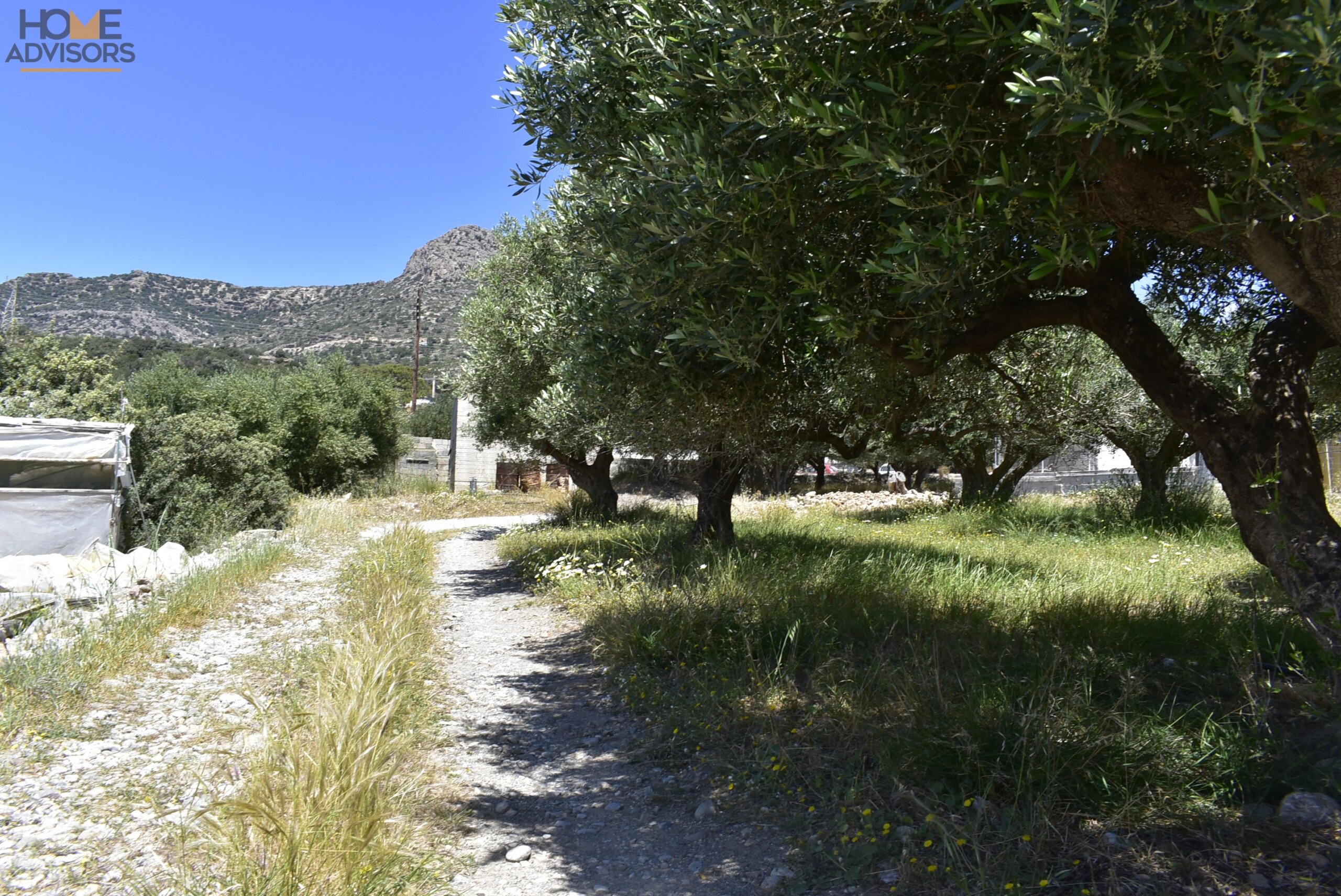 Seaside plot in Ferma of Crete