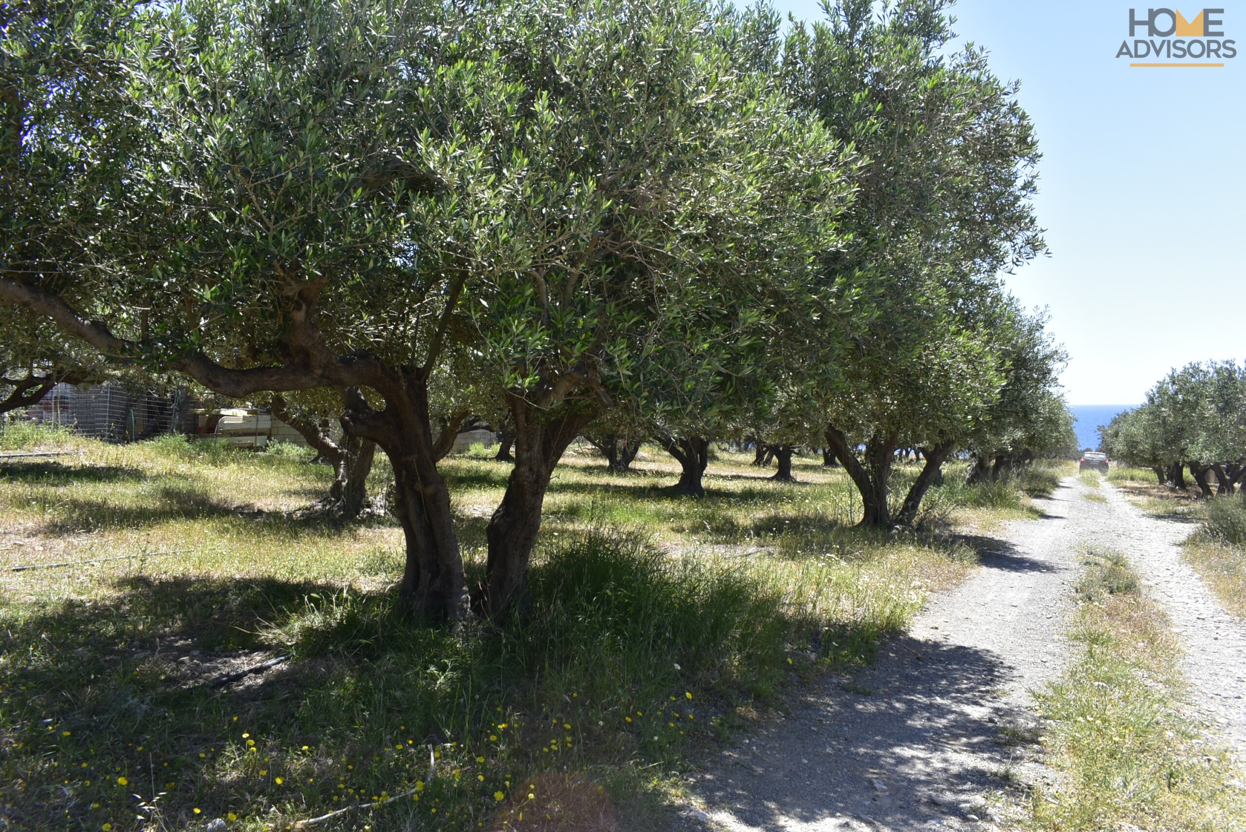 Seaside plot in Ferma of Crete