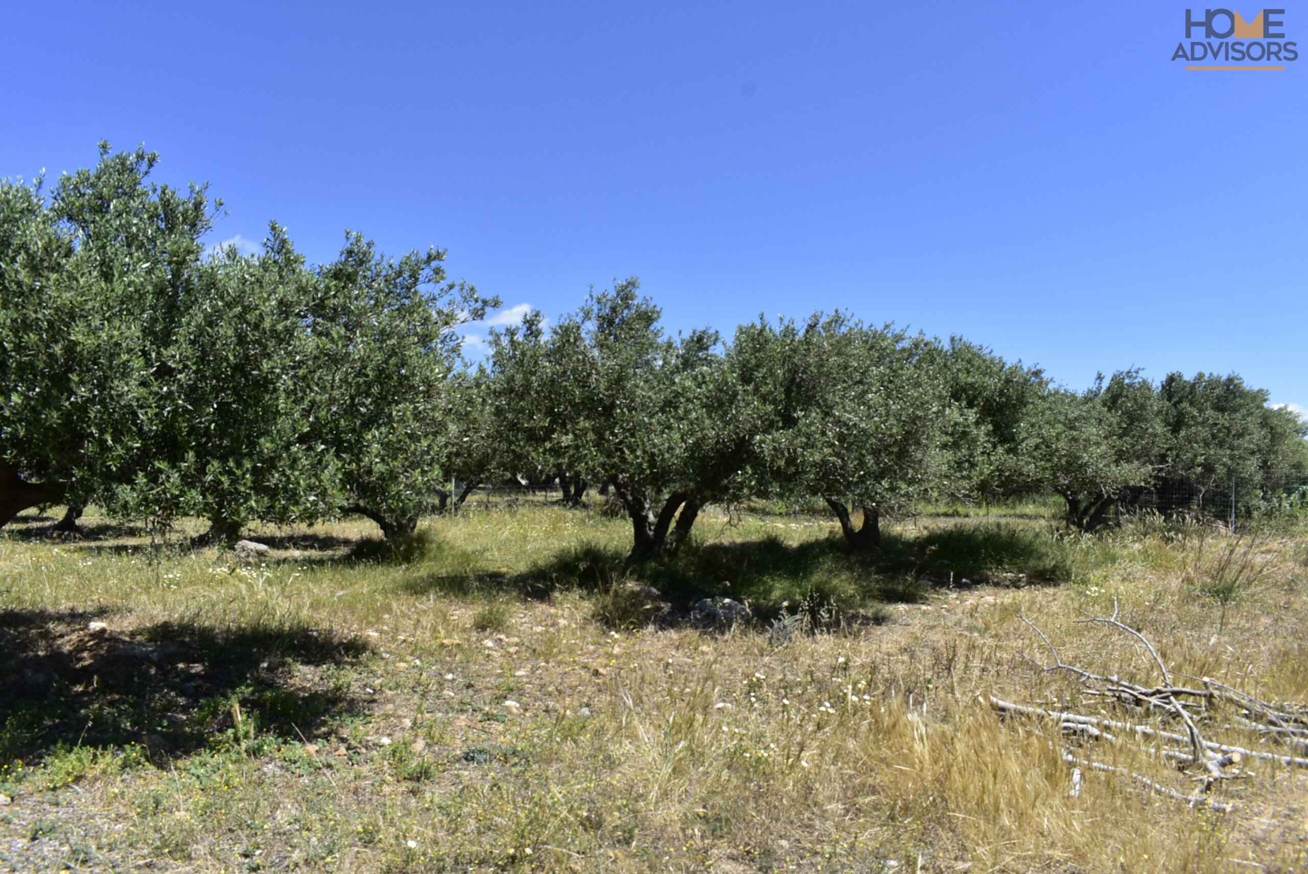 Seaside plot in Ferma of Crete