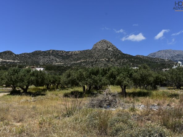 Seaside plot in Ferma of Crete