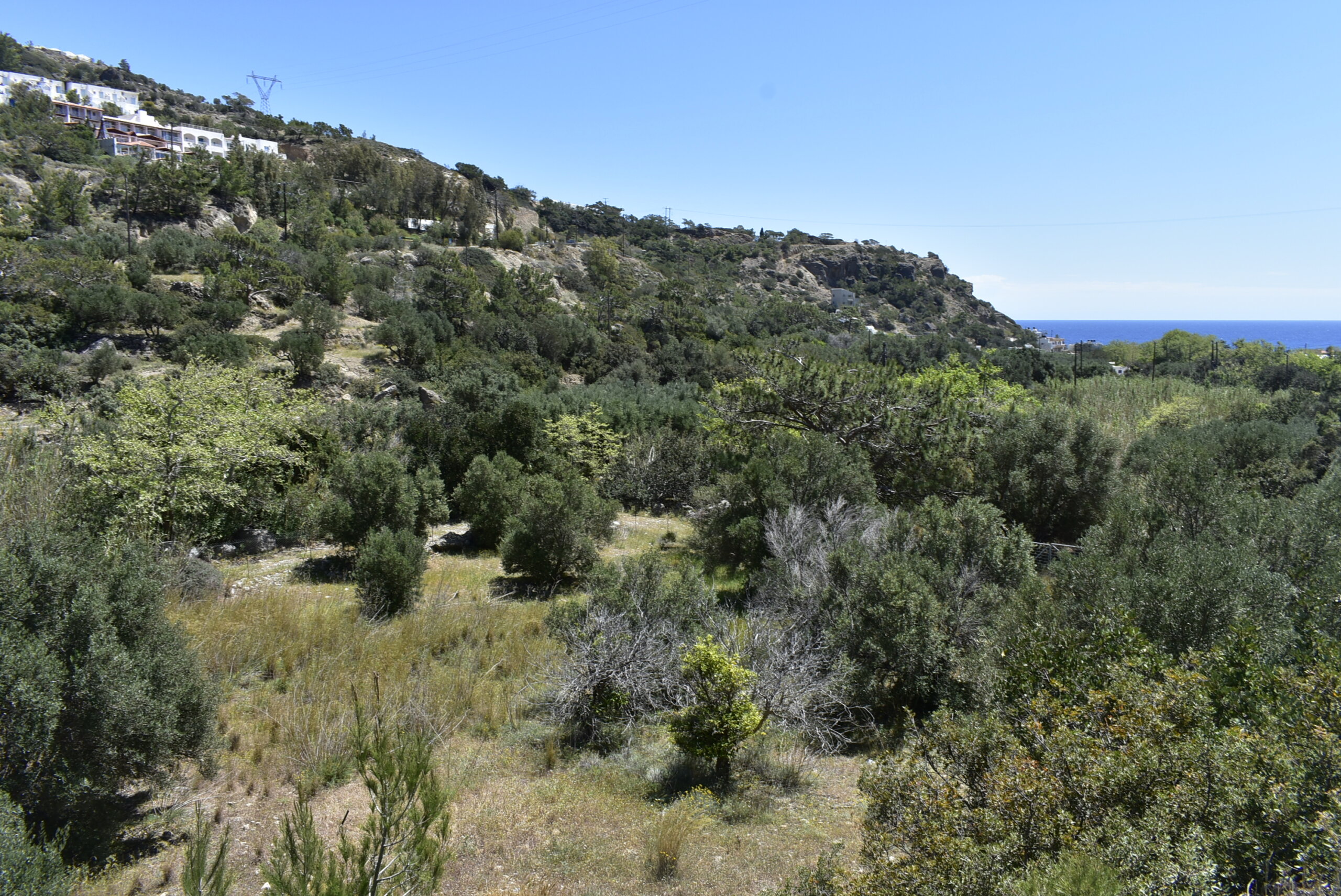 Plot of 1.325 sqm in Agia Fotia.