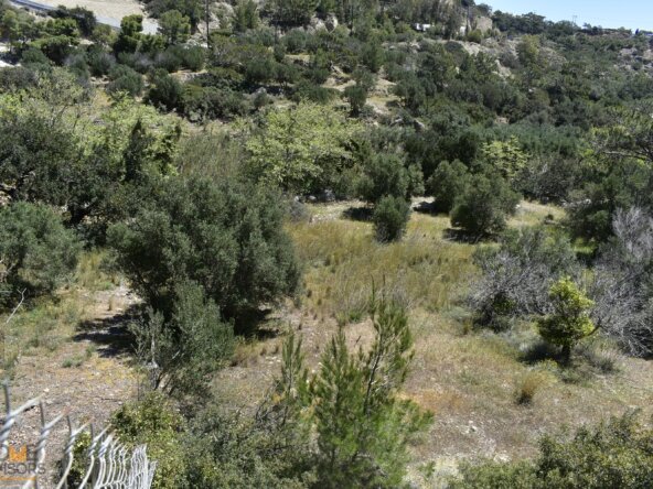 Plot of 1.325 sqm in Agia Fotia.