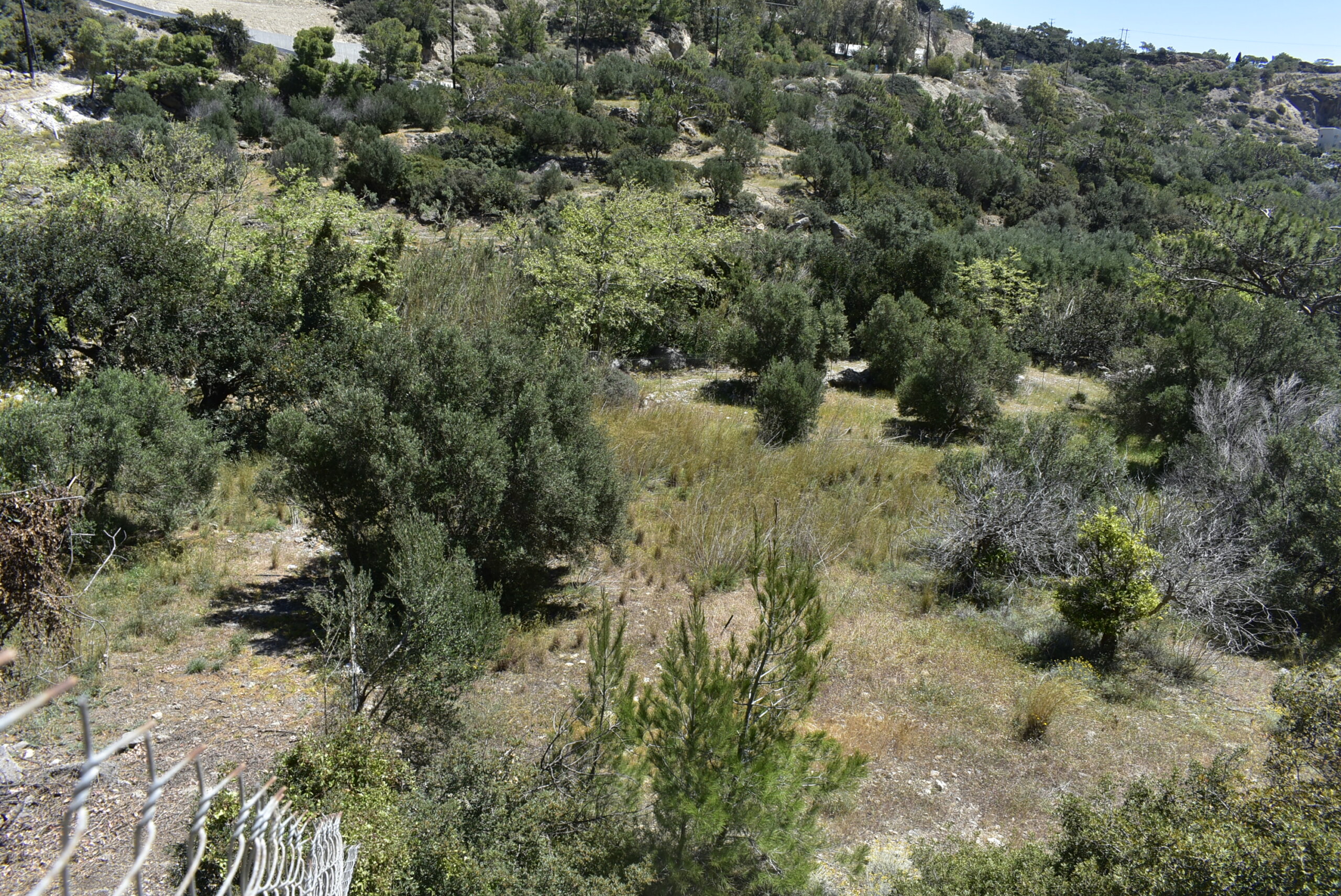 Plot of 1.325 sqm in Agia Fotia.