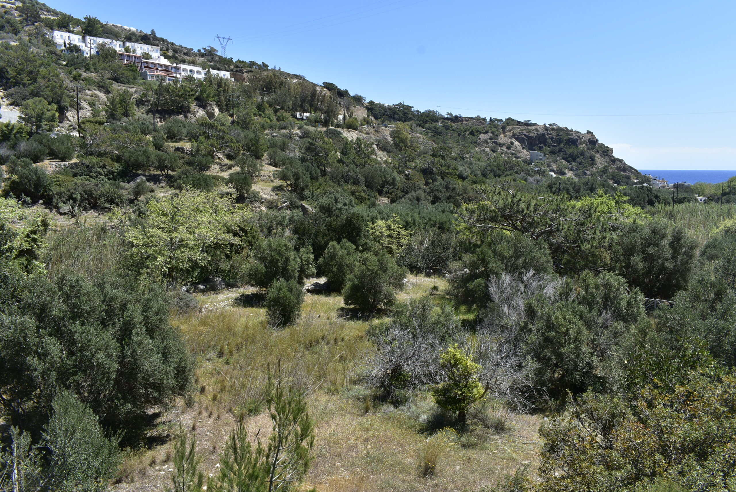 Plot of 1.325 sqm in Agia Fotia.