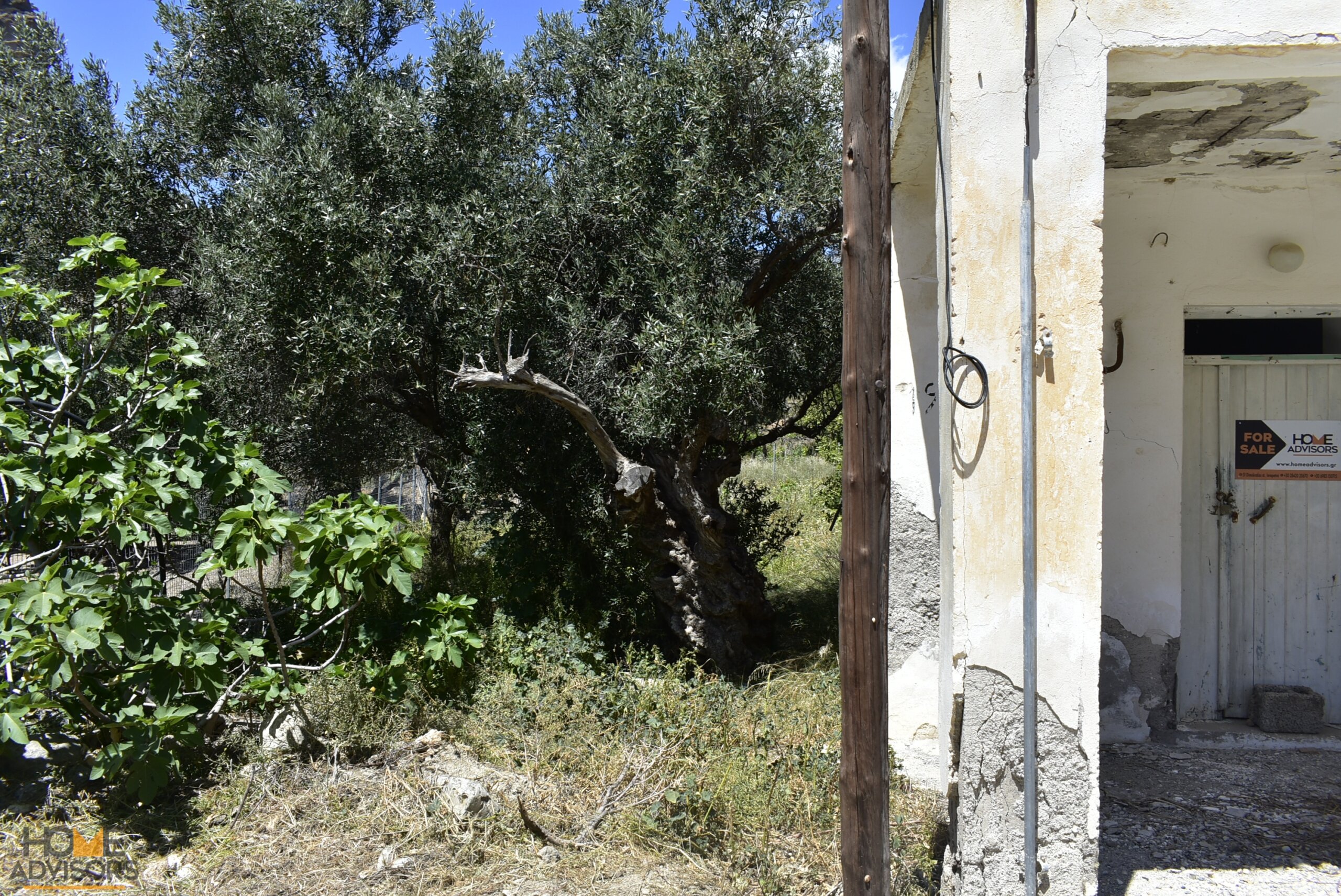 Old house with 3 rooms Crete