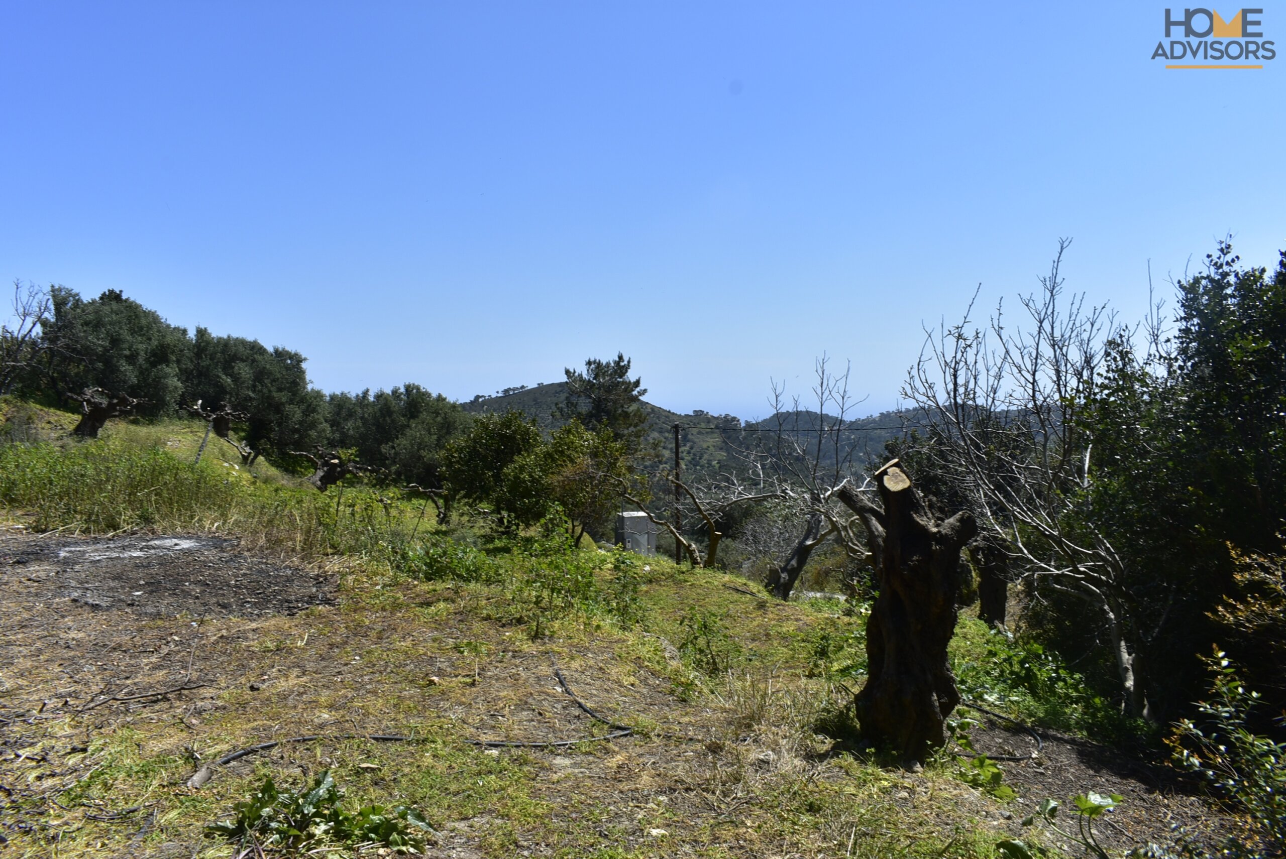 Plot outside Ierapetra Crete