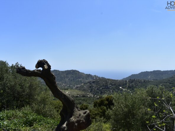 Plot outside Ierapetra Crete
