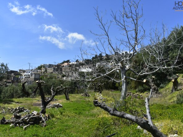 Plot outside Ierapetra Crete