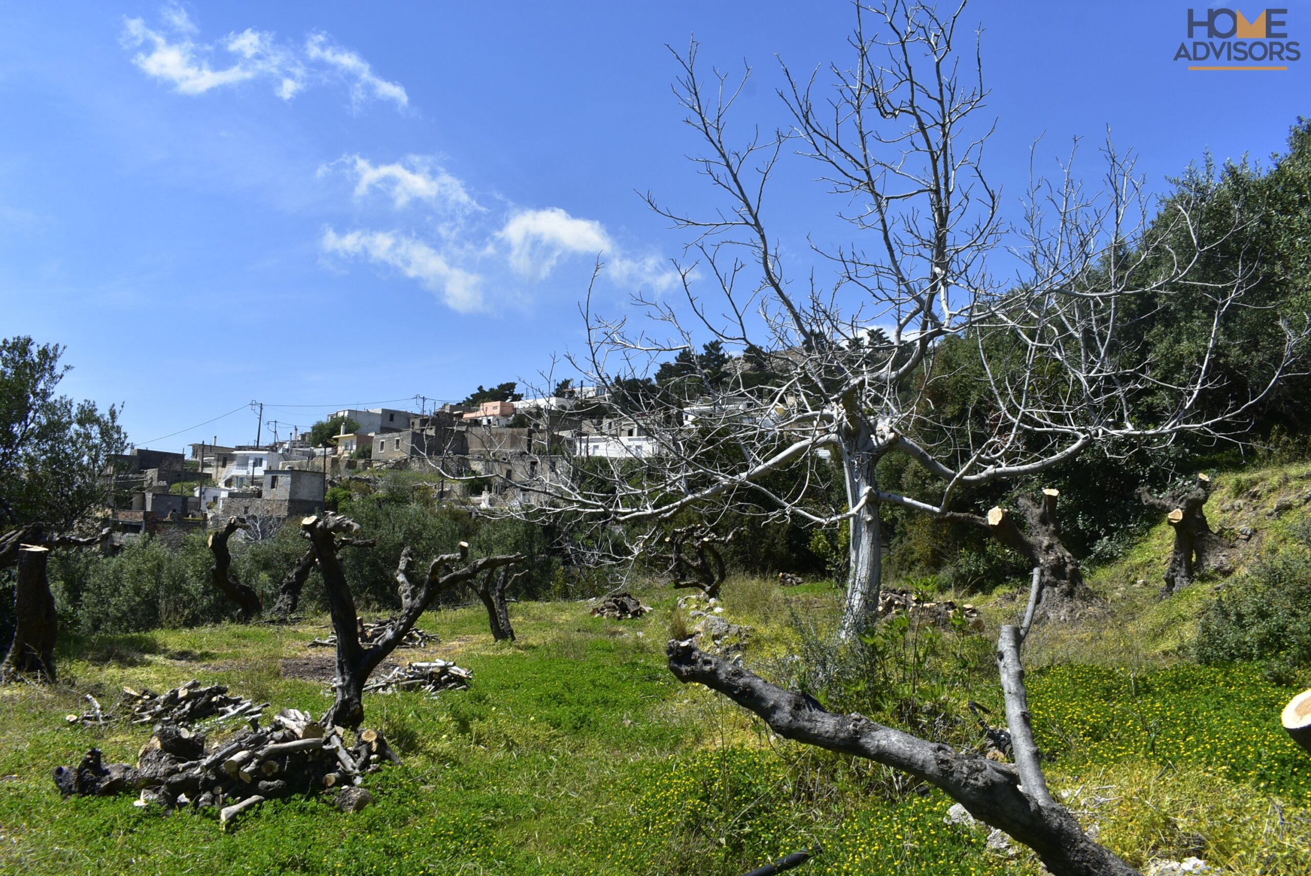 Plot outside Ierapetra Crete