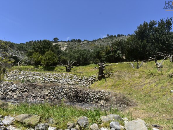 Plot outside Ierapetra Crete