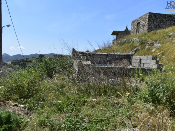 Seaview plot and old-house