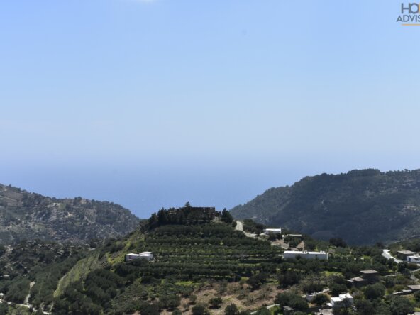 Seaview plot and old-house