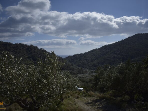 Plot near Orino Village