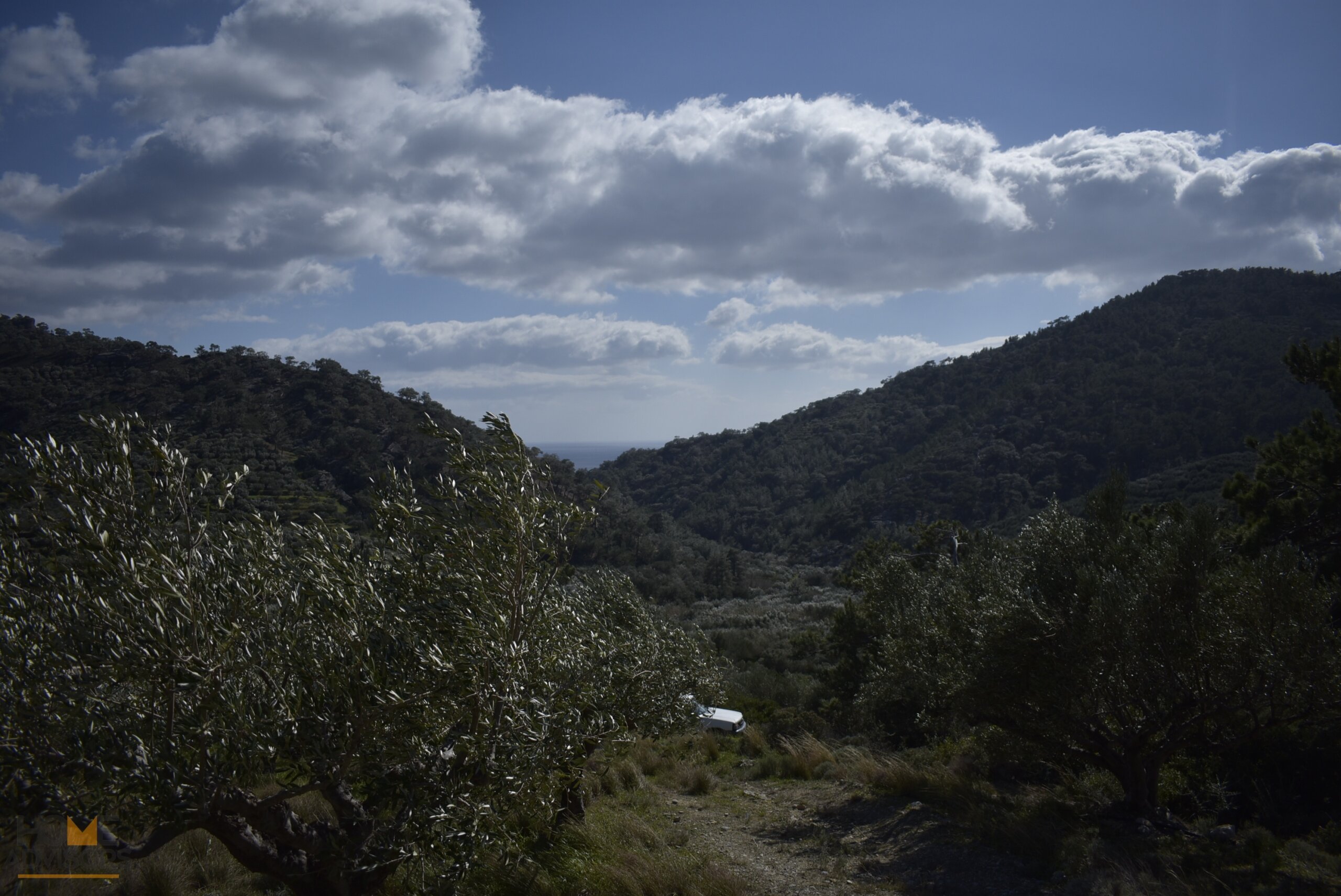 Plot near Orino Village