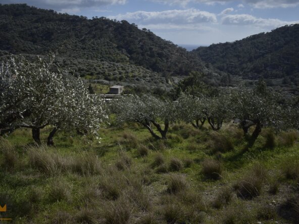 Plot near Orino Village