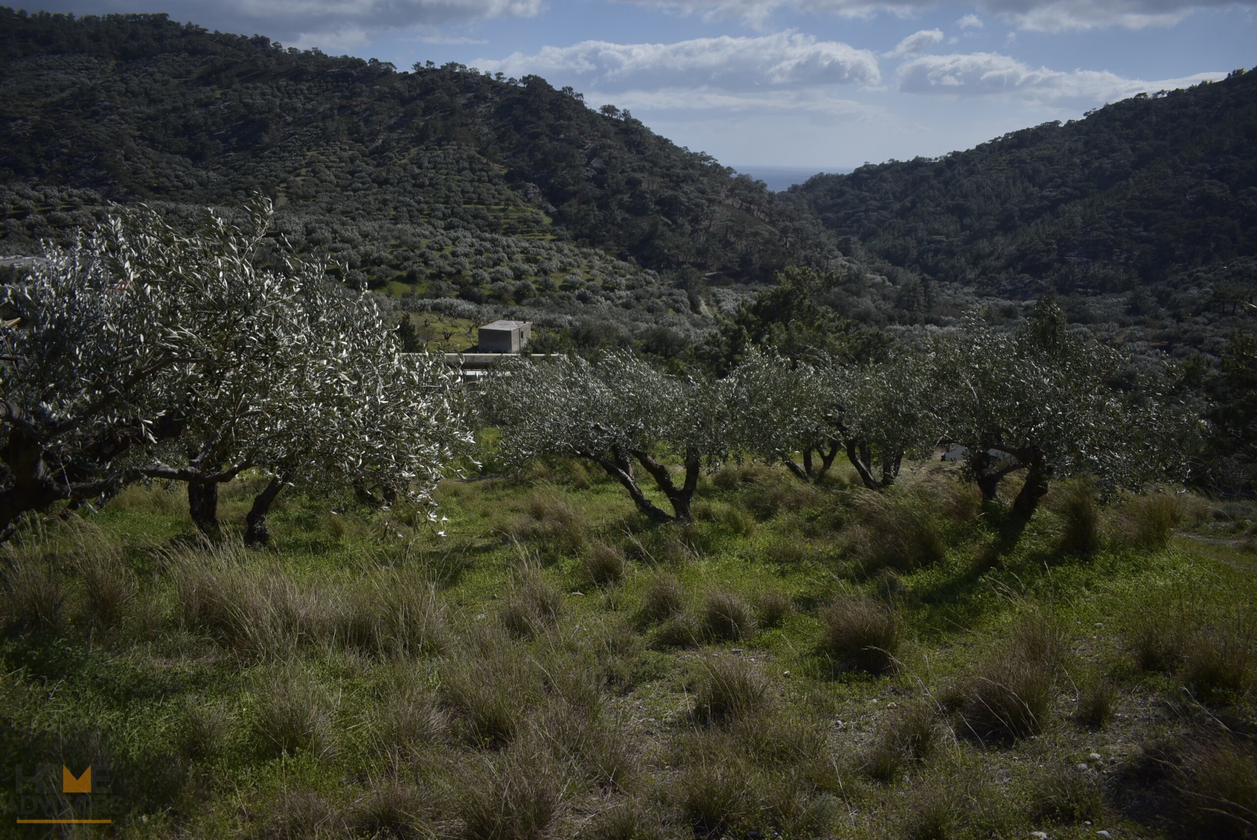 Plot near Orino Village