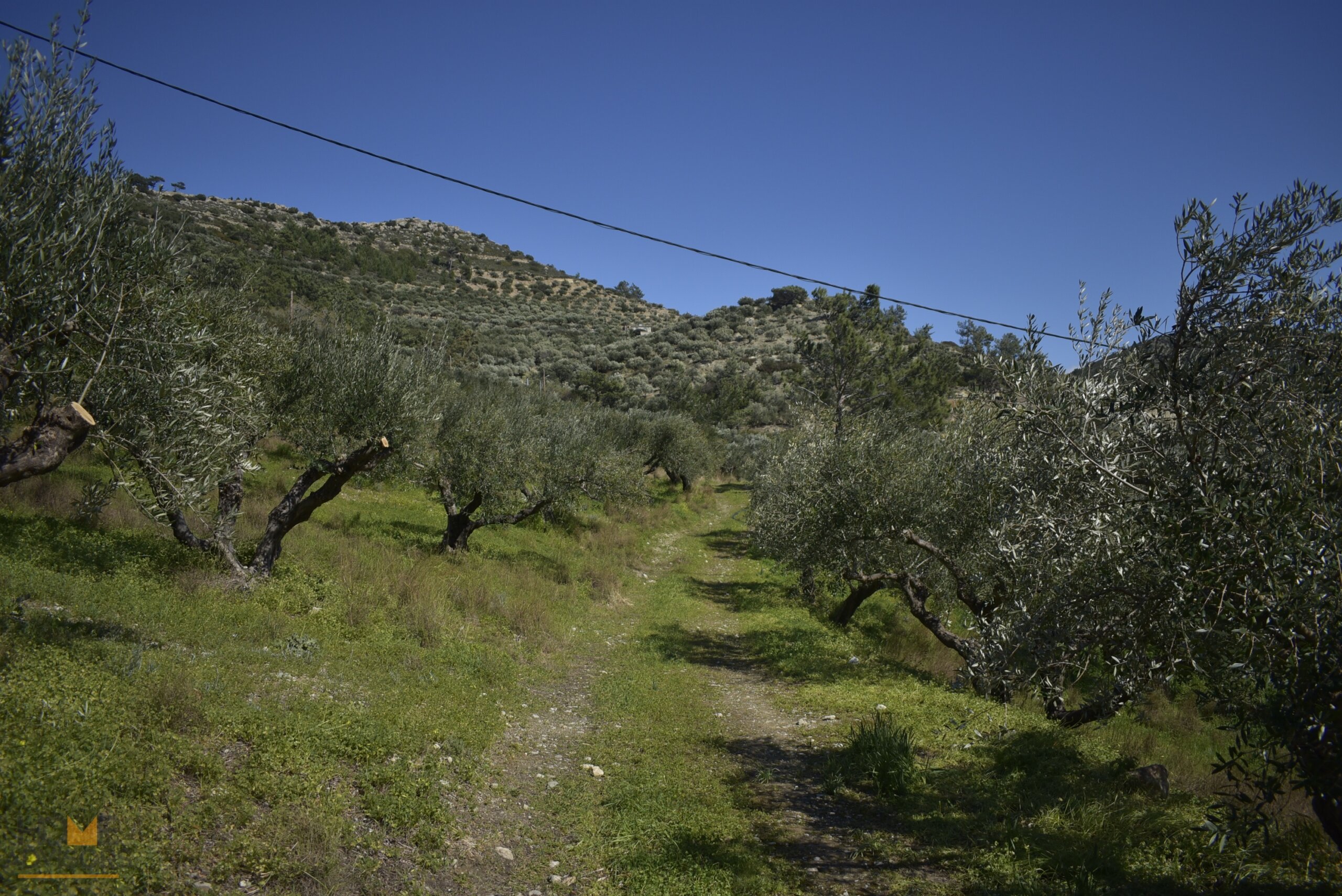 Plot near Orino Village