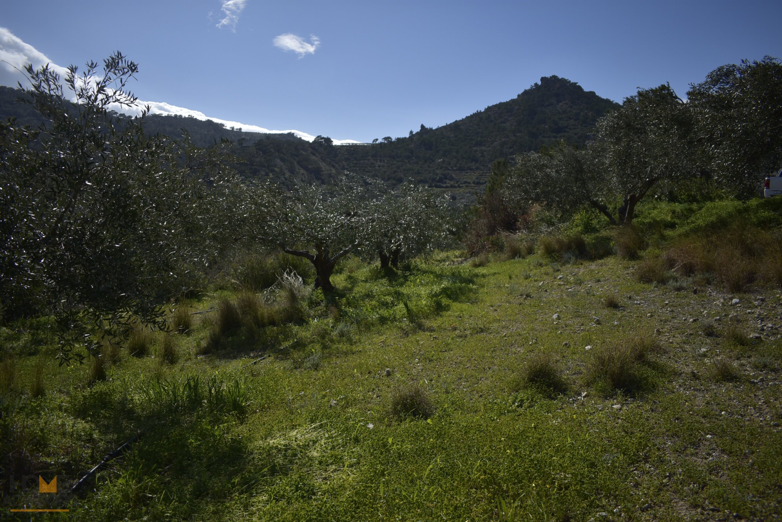 Plot near Orino Village