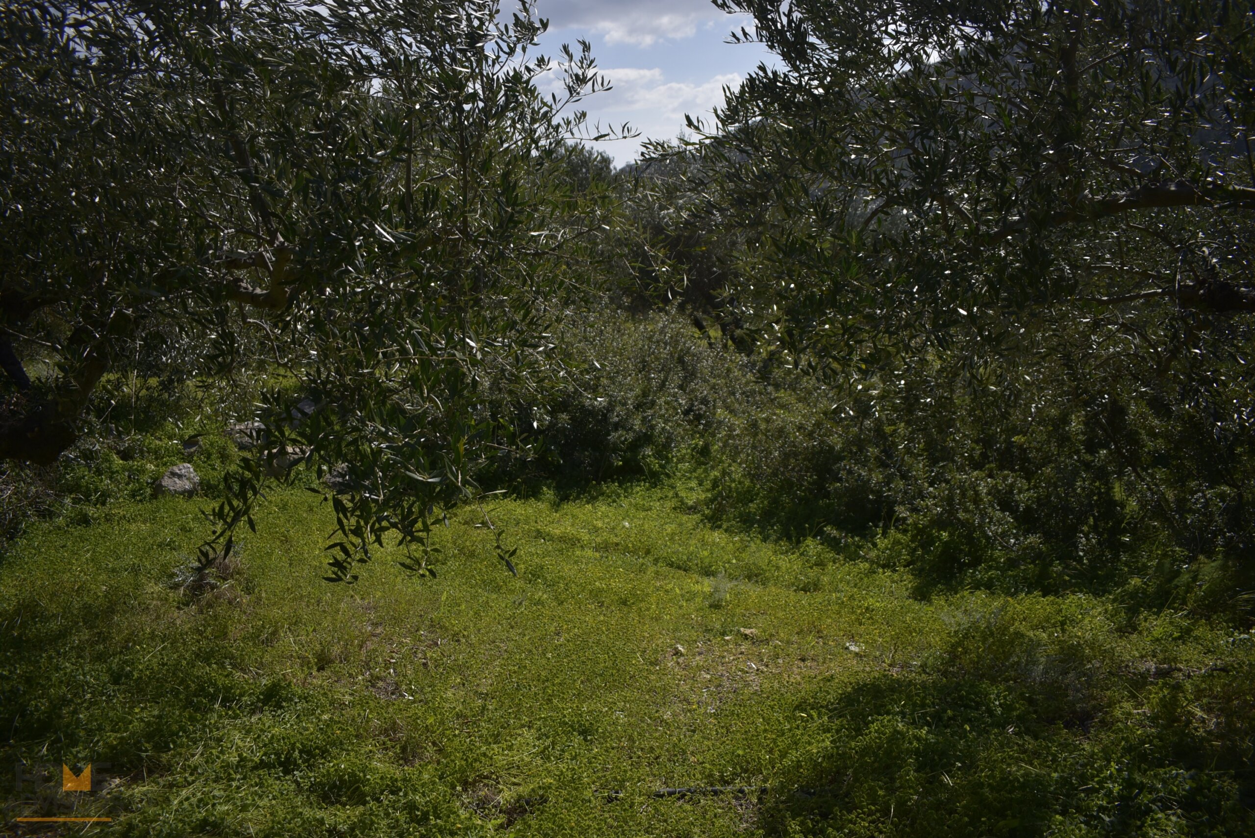 Plot near Orino Village