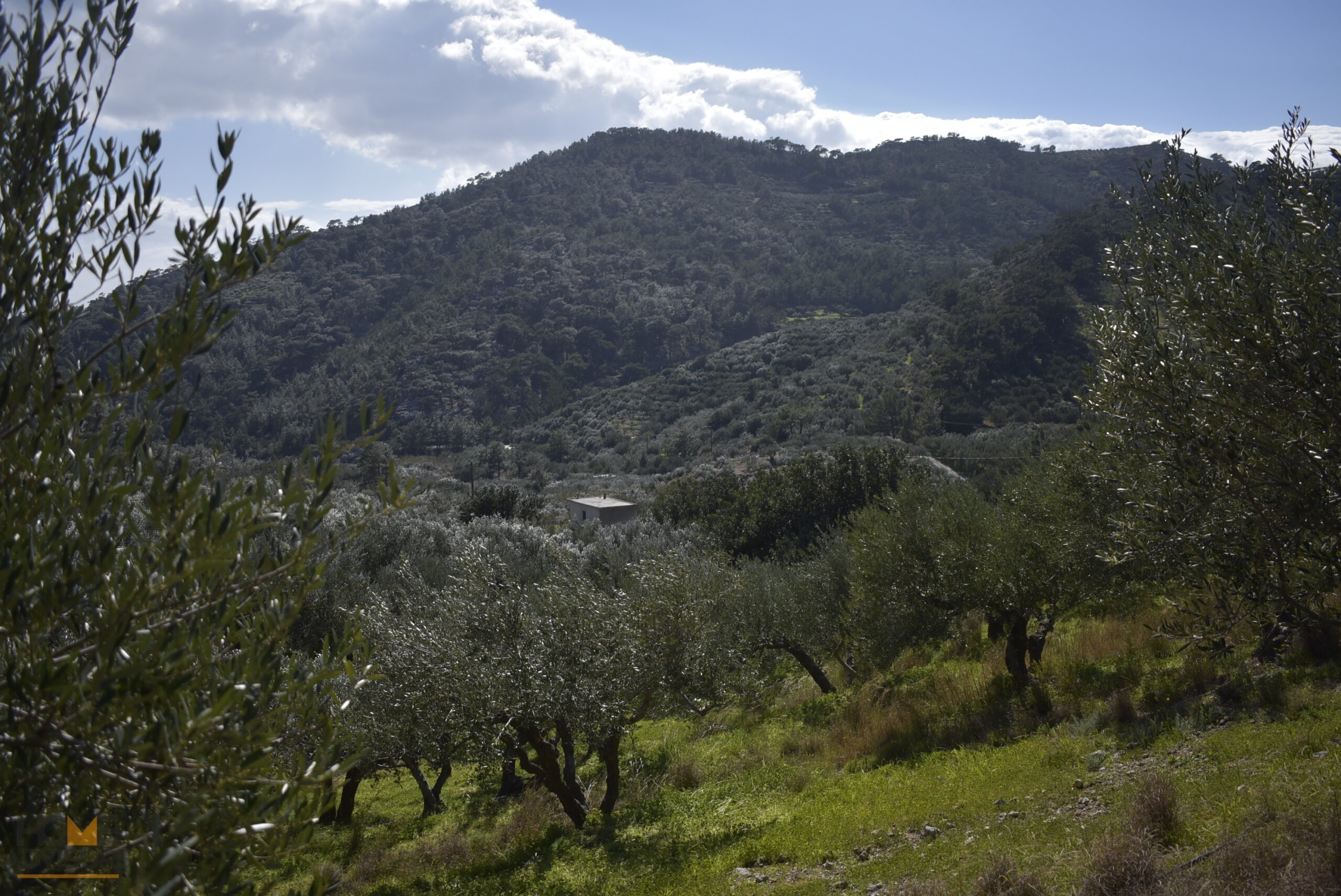 Plot near Orino Village