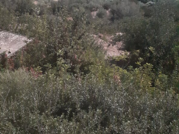 Property in Ferma.