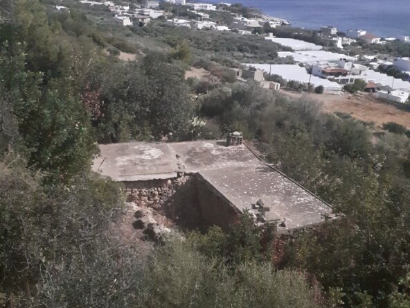 Property in Ferma.