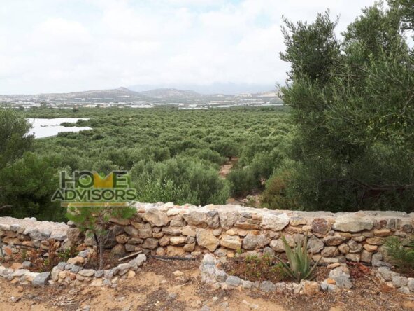 4000 sqm plot with 2 buildings in the Village of Epano Chorio