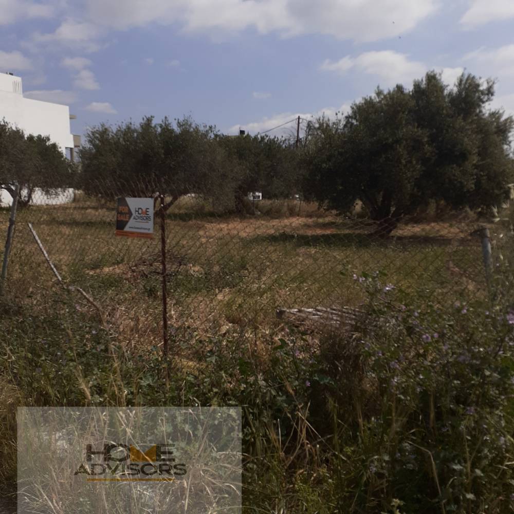 3 acre Plot within new City Development Plans in Ierapetra || Crete