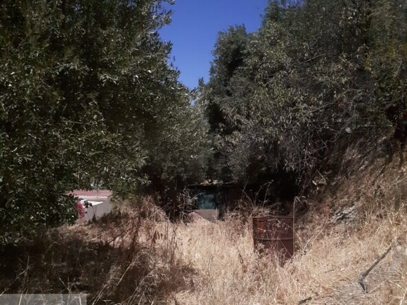 Ακίνητο στα Παπαδιανά.