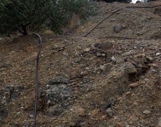 Plot in Achlia of Ierapetra.