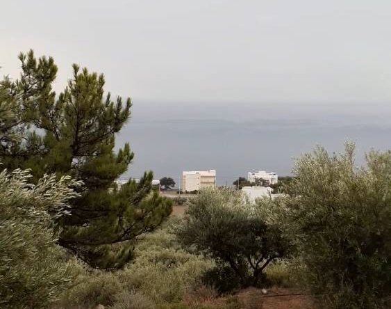 Plot in Achlia of Ierapetra.