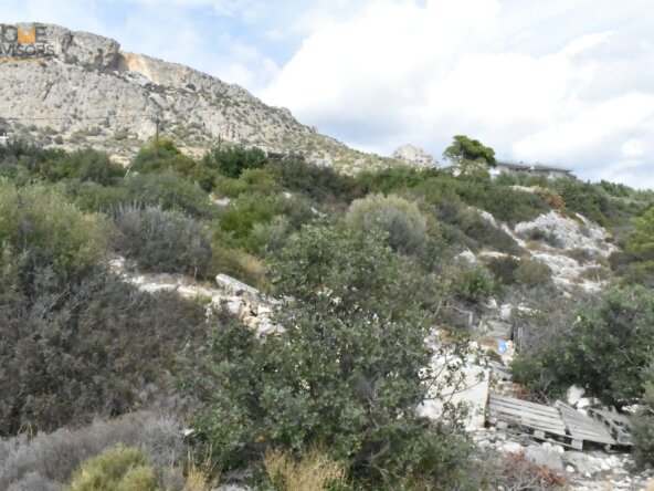 Plot in Koutsounari.