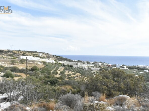Plot in Koutsounari.