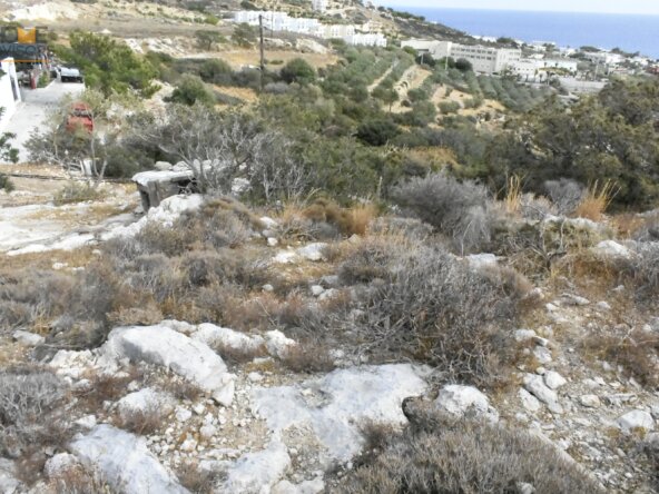 Plot in Koutsounari.