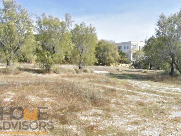 Plot on the bay out of Ierapetra.