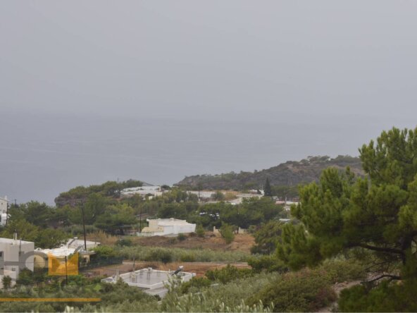 Plot in Achlia of Ierapetra.