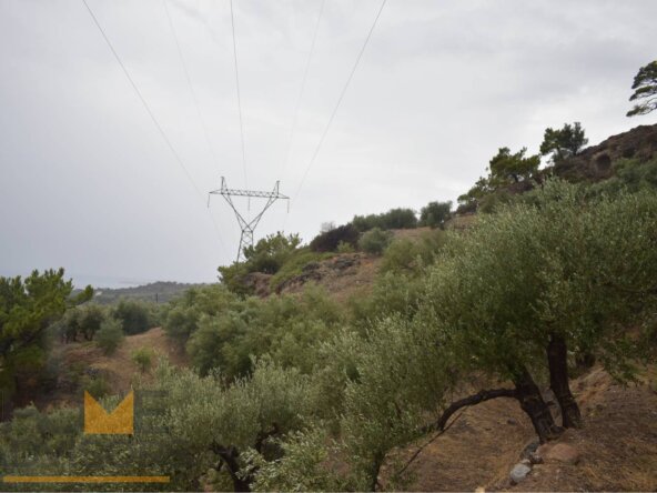 Plot in Achlia of Ierapetra.
