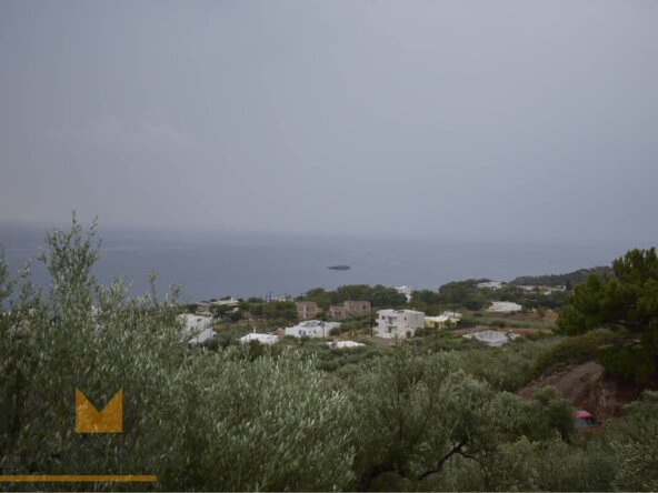 Plot in Achlia of Ierapetra.