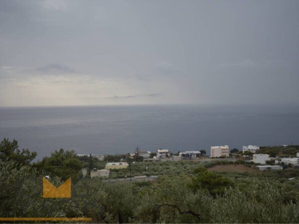 Plot in Achlia of Ierapetra.