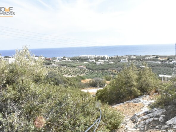 Plot in Koutsounari.