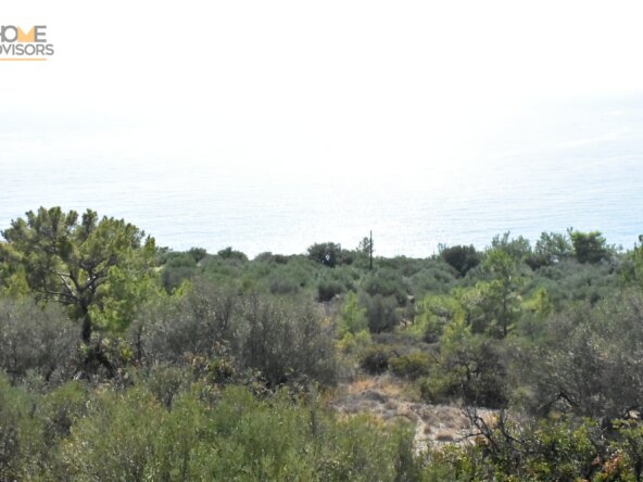 Plot in Ferma with Seaview.