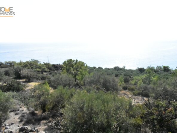 Plot in Ferma with Seaview.