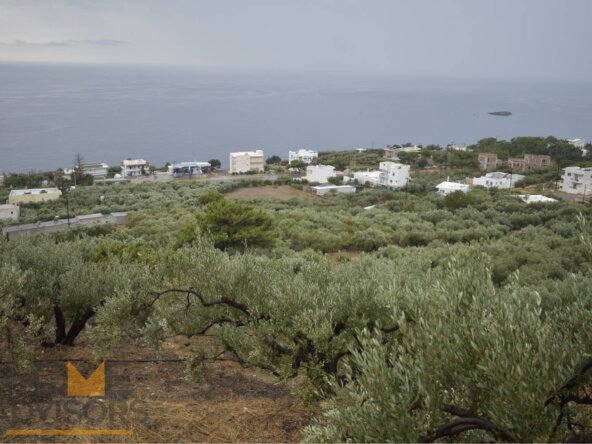 Plot in Achlia of Ierapetra.